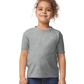 Athletic Gray