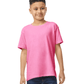 Safety Pink