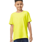 Safety Green